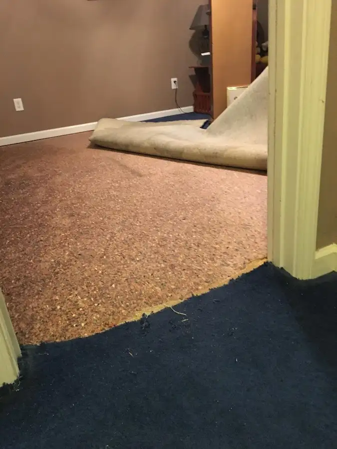 Carpet pad removal revealing water damage during Water Mitigation Services in Marlborough