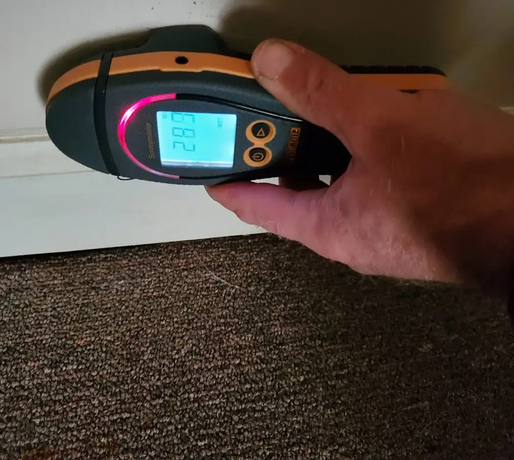 Moisture detection at baseboard during Sewage Cleanup & Sanitation in Marlborough